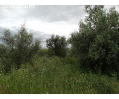 Chalet en Venta en Moratalla, Murcia