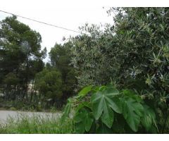 Chalet en Venta en Moratalla, Murcia