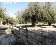 Chalet en Venta en Moratalla, Murcia