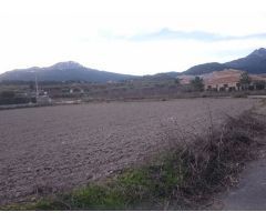 Solar en Venta en Moratalla, Murcia