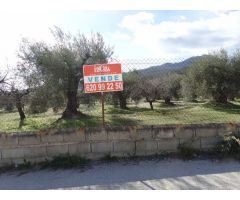 Solar en Venta en Moratalla, Murcia