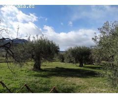 Solar en Venta en Moratalla, Murcia