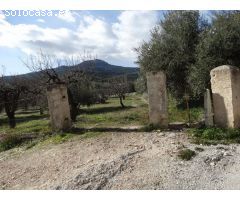 Solar en Venta en Moratalla, Murcia