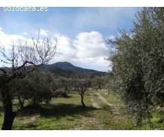 Solar en Venta en Moratalla, Murcia