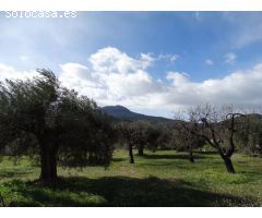 Solar en Venta en Moratalla, Murcia