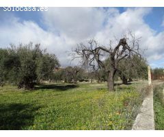 Solar en Venta en Moratalla, Murcia