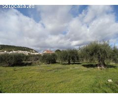 Solar en Venta en Moratalla, Murcia