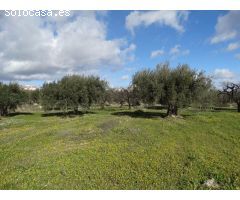 Solar en Venta en Moratalla, Murcia