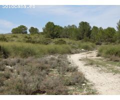 Finca urbanizable  con monte a pie de sierra en Moratalla
