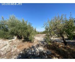 Solar en Venta en Moratalla, Murcia