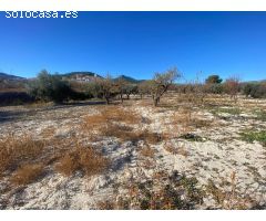 Extraordinario solar en Moratalla