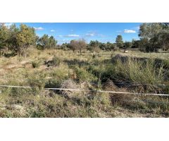 Hacienda feudal del SXIX en Moratalla