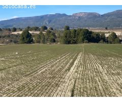 Hacienda feudal del SXIX en Moratalla