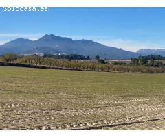 Hacienda feudal del SXIX en Moratalla