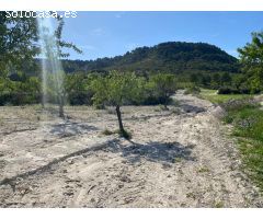 Conjunto de terrenos en huerta de Moratalla
