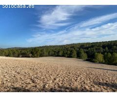 Finca urbanizable sin sectorizar residencial en Moratalla