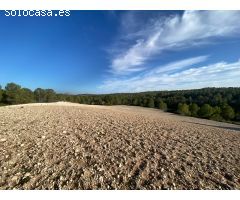 Finca urbanizable sin sectorizar residencial en Moratalla