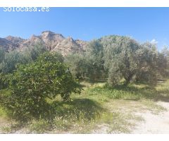 Finca rustica en Venta en Beas de Guadix, Granada