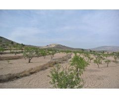 Parcela en Venta en Jumilla, Murcia