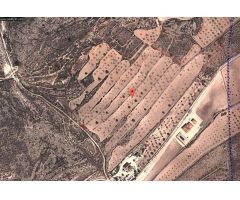 Parcela en Venta en Jumilla, Murcia
