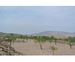 Parcela en Venta en Jumilla, Murcia