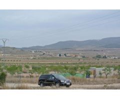 Parcela en Venta en Jumilla, Murcia