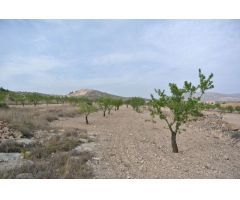 Parcela en Venta en Jumilla, Murcia