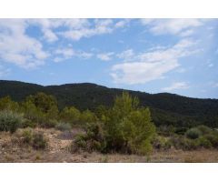 Parcela en Venta en Yecla, Murcia