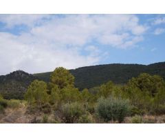 Parcela en Venta en Yecla, Murcia