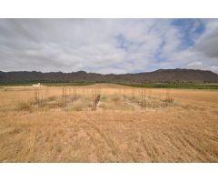 Parcela en Venta en Yecla, Murcia