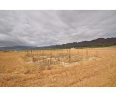 Parcela en Venta en Yecla, Murcia