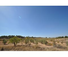 Parcela en Venta en Jumilla, Murcia