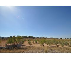 Parcela en Venta en Jumilla, Murcia