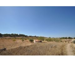 Parcela en Venta en Jumilla, Murcia