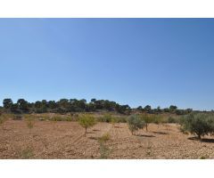 Parcela en Venta en Jumilla, Murcia