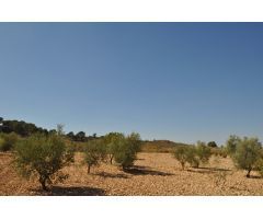 Parcela en Venta en Jumilla, Murcia