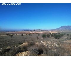 Parcela en Venta en Jumilla, Murcia