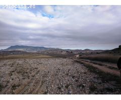 Parcela en Venta en Jumilla, Murcia
