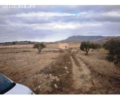 Parcela en Venta en Jumilla, Murcia