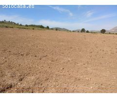 Parcela en Venta en Yecla, Murcia