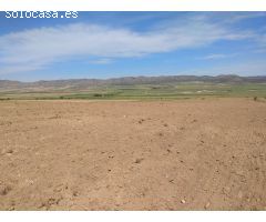 Parcela en Venta en Yecla, Murcia