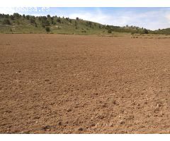Parcela en Venta en Yecla, Murcia