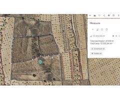 Parcela en Venta en Jumilla, Murcia