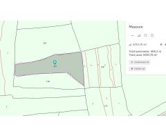 Parcela en Venta en Jumilla, Murcia