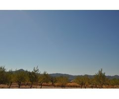 Parcela en Venta en Abanillas, Murcia