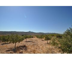 Parcela en Venta en Abanillas, Murcia
