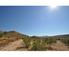 Parcela en Venta en Abanillas, Murcia