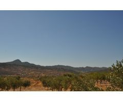 Parcela en Venta en Abanillas, Murcia
