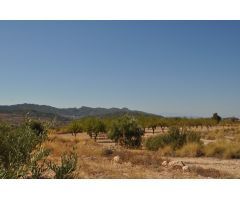 Parcela en Venta en Abanillas, Murcia