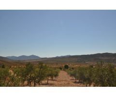 Parcela en Venta en Abanillas, Murcia